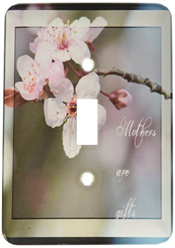 3dRose lsp_47263_1"Mothers Are Gifts Spring Cherry Blossom Floral- Flowers - Single" Toggle Switch
