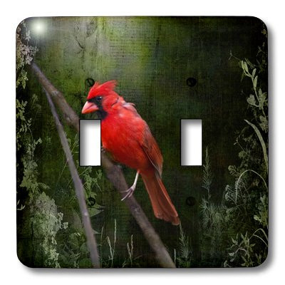 3dRose lsp_48670_2 Wild Brid Cardinal Bird in Spring Art Home Decor Double Toggle Switch