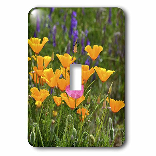 3dRose lsp_60972_1 Field Of Orange Poppy Flowers Floral Print Spring Photography Single Toggle Switch