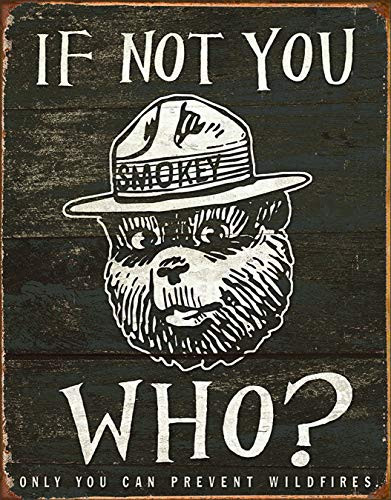 Desperate Enterprises Smokey Bear - If Not You Who? Tin Sign, 12.5" W x 16" H