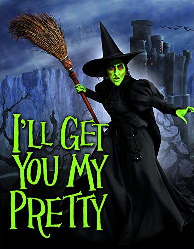 Desperate Enterprises The Wizard of Oz - I'll Get You My Pretty Tin Sign, 16" W x 12.5" H