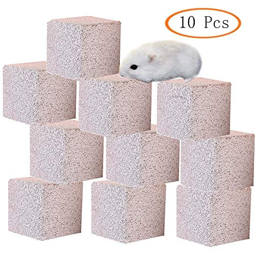 Hamster Chew Toy Lava Teeth Grinding Square Stone For Hamsters Chinchillas and Rabbits Mineral Stone Calcium Chew Toy for Small Animal(Pack of 10) Hamster Chew Toy Lava Teeth Grinding Square Stone For Hamsters Chinchillas and Rabbits Mineral Stone Calcium Chew Toy for Small Animal(Pack of 10)