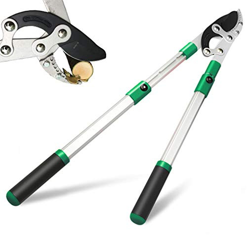 TUOSEN SK5 High-Performance Compound Action Anvil Lopper,Chops Thick Branches with Ease,2 Inch Cutting Capacity,28inch-40inch Telescoping Lopper, Tree Trimmer with Sturdy&Comfortable Handle(A