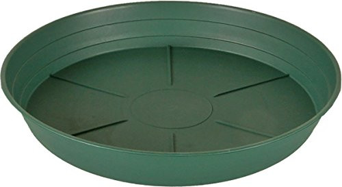 Hydrofarm HGS16P Green Premium, Pack of 10 Saucer, 16 Inch,