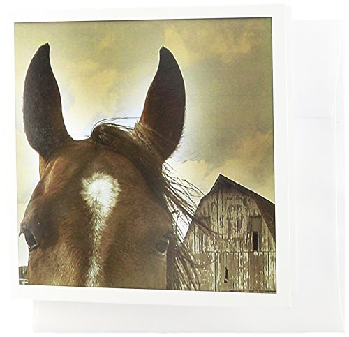 3dRose Horse and Barn in Sepia - Greeting Cards, 6 x 6 inches, set of 12 (gc_12307_2)