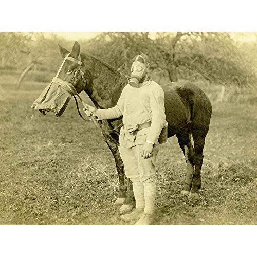 Wee Blue Coo Vintage War WWI UK Gas Mask Soldier Horse Cavalry Weird Unframed Wall Art Print Poster Home Decor Premium Wee Blue Coo Vintage War WWI UK Gas Mask Soldier Horse Cavalry Weird Unframed Wall Art Print Poster Home Decor Premium