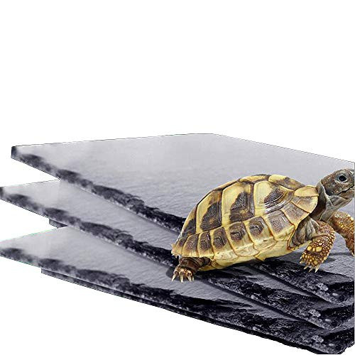 kathson Turtle Rock Plate Food Dish Basking Rock Feeding Platform Resting Terrace Habit Decor for Reptile Tortoise
