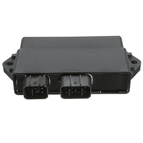 Li Bai CDI MODULE Fits YAMAHA Warrior 350 YFM350X 348cc 1997-2001 Atv 1997 1998 1999 2000 2001 97 98 99 00 01, 3Gd-85540-40-00 ESP1597 495757