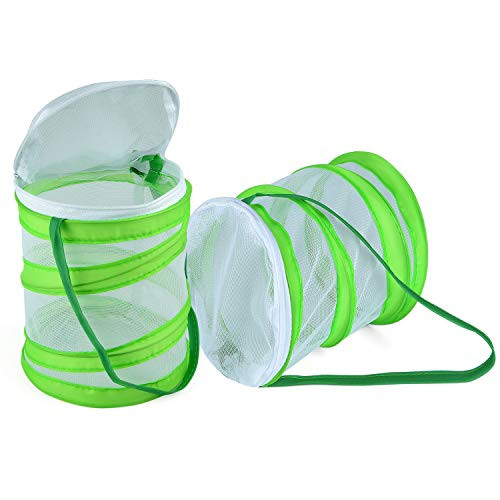 Coopay 2 Pack Mini Butterfly and Insect Habitat, Insect Mesh Cage, Bug Terrarium Pop Up 5.5 x 6 Inches Tall