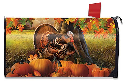Briarwood Lane Harvest Turkey Fall Magnetic Mailbox Cover Autumn Pumpkins Standard