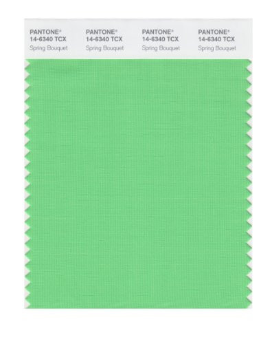 PANTONE Smart 14-6340X Color Swatch Card, Spring Bouquet