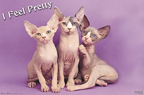 Trends International Pretty Kitty Clip Bundle Wall Poster, 22.375" x 34", Multi