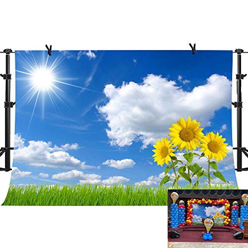 PHMOJEN Blue Sky White Clouds Sunflowers Photography Backdrop Sunshine Grass Background Vinyl 10x7ft YouTube Computer Screen Wallpaper Photo Studio Props WQPH592 PHMOJEN Blue Sky White Clouds Sunflowers Photography Backdrop Sunshine Grass Background Vinyl 10x7ft YouTube Computer Screen Wallpaper Photo Studio Props WQPH592