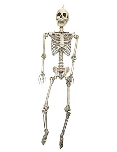 THEE Scary Skull Bone Party Human Skeleton Anatomical Model Halloween Decoration Height 90cm/35"