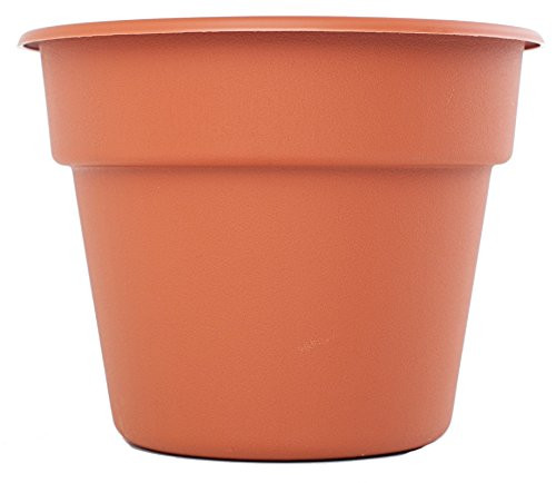 Bloem Dura Cotta Planter, Terra Cotta, 8"