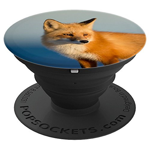 Fox Lover Design Red Fox - PopSockets Grip and Stand for Phones and Tablets Fox Lover Design Red Fox - PopSockets Grip and Stand for Phones and Tablets
