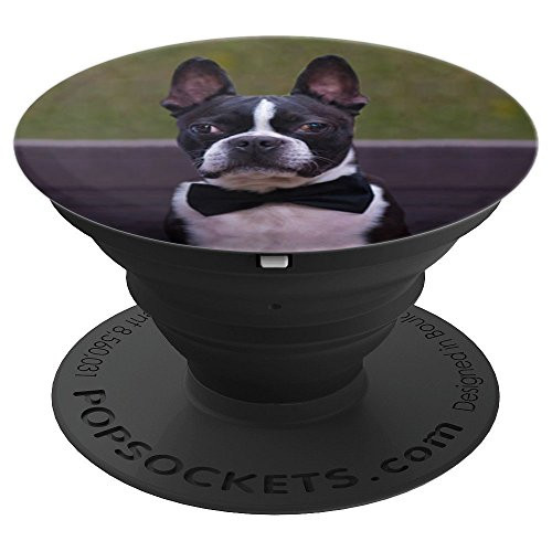 Boston terrier groom dog photo - PopSockets Grip and Stand for Phones and Tablets Boston terrier groom dog photo - PopSockets Grip and Stand for Phones and Tablets