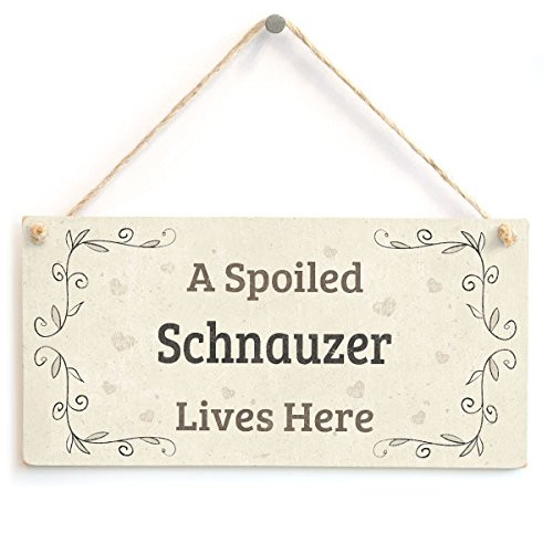 Meijiafei A Spoiled Schnauzer Lives Here - Lovely Home Accessory Gift Sign for Dog Owners 10"x5" Meijiafei A Spoiled Schnauzer Lives Here - Lovely Home Accessory Gift Sign for Dog Owners 10"x5"