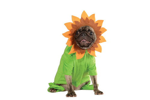 Rubie's Pet Costume, X-Large, Sunflower