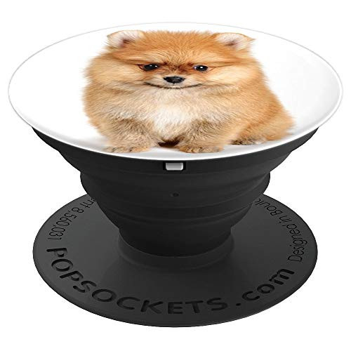 Pomeranian Puppy Beautiful Cute Pop Dogs Lover Mom Dad Gift - PopSockets Grip and Stand for Phones and Tablets