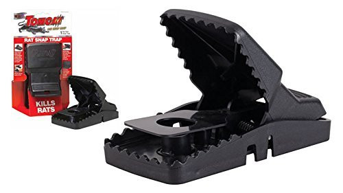 Tomcat Rat Snap Trap, 2-Pack