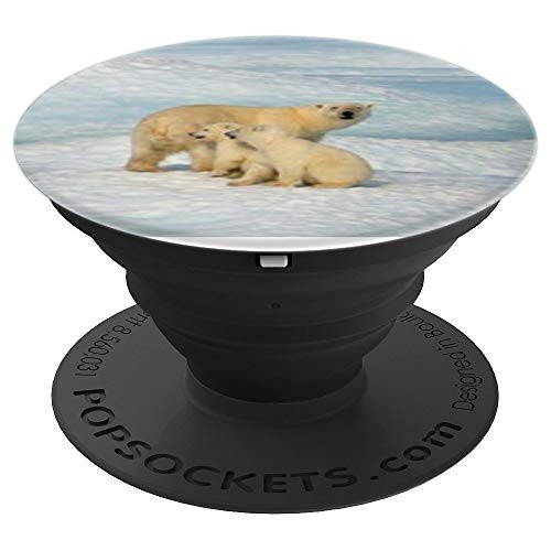 Polar Bear Mother and 2 cubs on ice - PopSockets Grip and Stand for Phones and Tablets