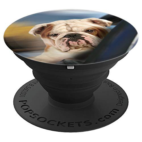 Grumpy Pet Bulldog, Cell Phone Mount, Hand Holder Knob 6481F - PopSockets Grip and Stand for Phones and Tablets