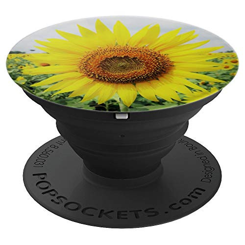 Beautiful Bright Sunflower in Full Spring Bloom - PopSockets Grip and Stand for Phones and Tablets