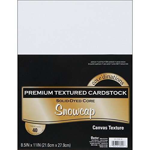Darice Coredinations Value Pack Cardstock 8.5X11 80/Pkg-Snowcap - Textured