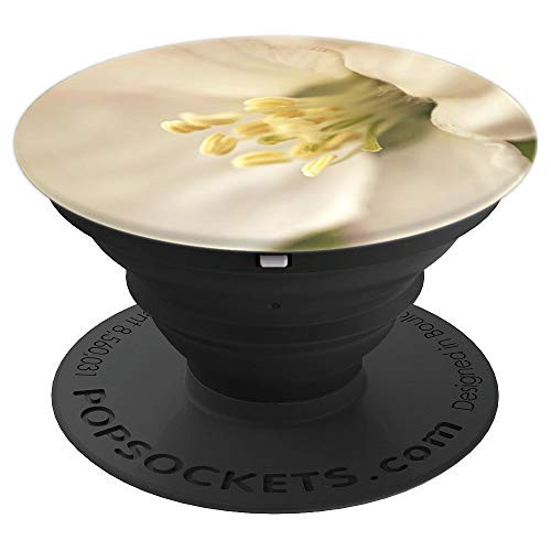 Spring Flower Apple Blossom Macro Photograph - PopSockets Grip and Stand for Phones and Tablets Spring Flower Apple Blossom Macro Photograph - PopSockets Grip and Stand for Phones and Tablets