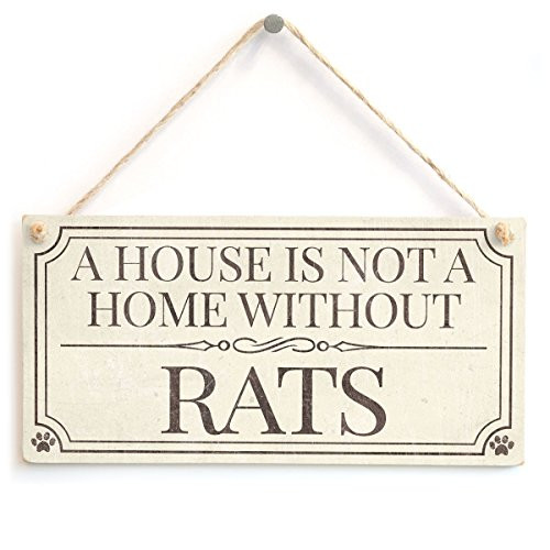 Meijiafei A House is Not A Home Without Rats - Home Accessory Gift Sign/Plaque for Pet Rat Owners 10"x5" Meijiafei A House is Not A Home Without Rats - Home Accessory Gift Sign/Plaque for Pet Rat Owners 10"x5"