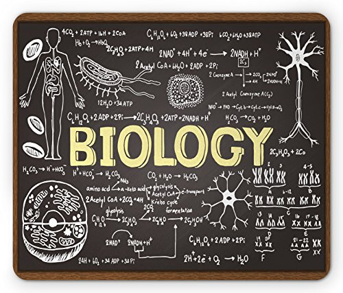Ambesonne Educational Mouse Pad, Black Chalkboard Biology Hand Written School Classroom, Rectangle Non-Slip Rubber Mousepad, Standard Size, Black Brown