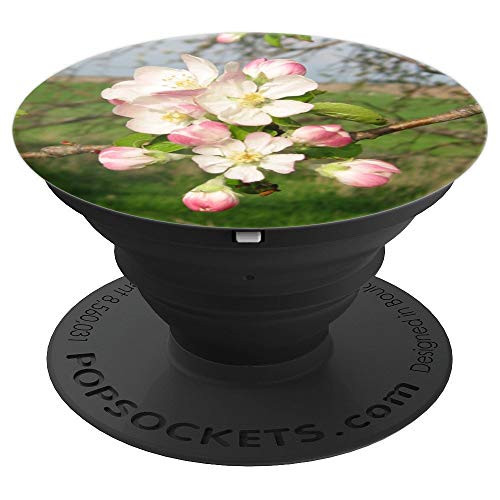 Apple Blossom Flowers Spring Floral Lover Gift - PopSockets Grip and Stand for Phones and Tablets Apple Blossom Flowers Spring Floral Lover Gift - PopSockets Grip and Stand for Phones and Tablets
