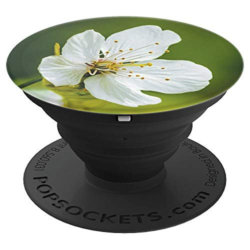 White-Flower Pop-Sockets Grip Classic Floral-Spring Design - PopSockets Grip and Stand for Phones and Tablets White-Flower Pop-Sockets Grip Classic Floral-Spring Design - PopSockets Grip and Stand for Phones and Tablets