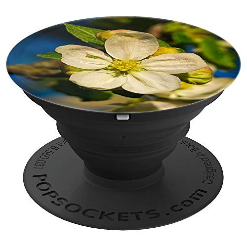 Spring Flower: Apple Blossom - PopSockets Grip and Stand for Phones and Tablets Spring Flower: Apple Blossom - PopSockets Grip and Stand for Phones and Tablets