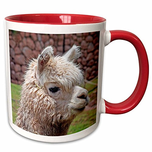 3dRose 87050_5 Peru. Alpaca Wildlife, Awana Kancha, Urubamba Valley-SA17 KWI0128-Kymri Wilt Ceramic Mug 11 oz Red/White