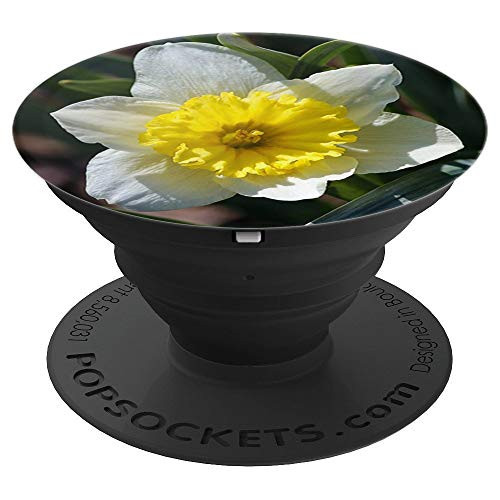 White and Yellow Daffodil Spring Flower - PopSockets Grip and Stand for Phones and Tablets