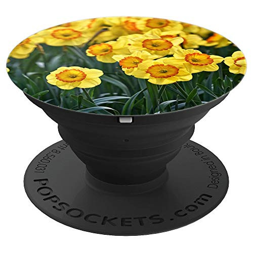 Deep Yellow and Orange Group of Daffodil Spring Flowers - PopSockets Grip and Stand for Phones and Tablets