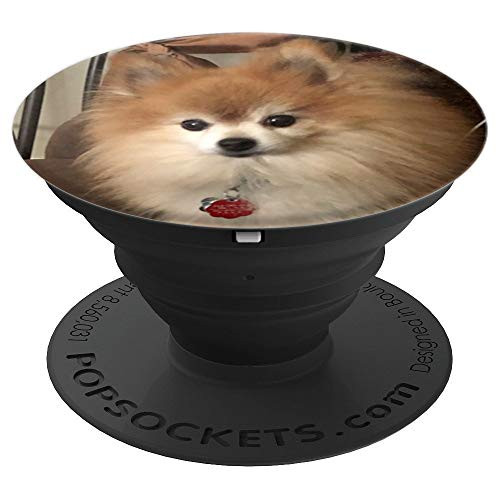 Pomeranian Dog Pom - PopSockets Grip and Stand for Phones and Tablets