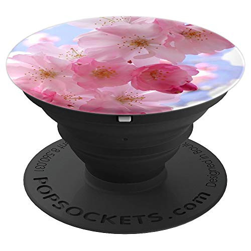 Sakura Japan Favorite Flower Cherry Blossom Blooms In Spring - PopSockets Grip and Stand for Phones and Tablets Sakura Japan Favorite Flower Cherry Blossom Blooms In Spring - PopSockets Grip and Stand for Phones and Tablets