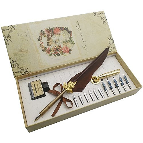 AIVN Caligrapher Pen with Feather Quill Pen, Calligraphy Set with 12 Nibs for Writing and Perfect Gift Pen AIVN Caligrapher Pen with Feather Quill Pen, Calligraphy Set with 12 Nibs for Writing and Perfect Gift Pen