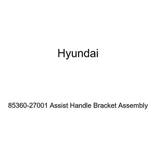 Genuine Hyundai 85360-27001 Assist Handle Bracket Assembly
