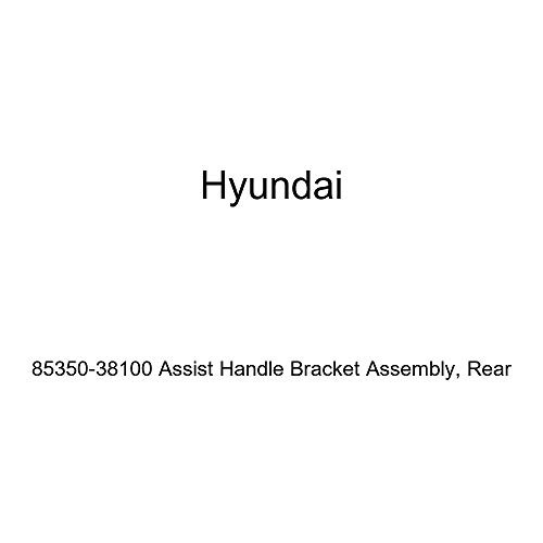 Genuine Hyundai 85350-38100 Assist Handle Bracket Assembly, Rear