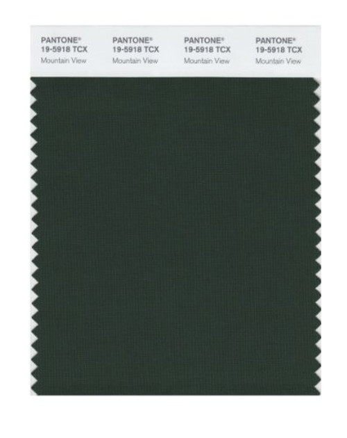 Pantone 19-5918 TCX Smart Color Swatch Card, Mountain View