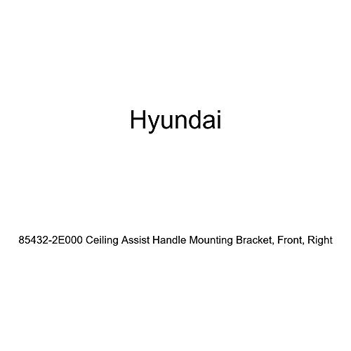 Genuine Hyundai 85432-2E000 Ceiling Assist Handle Mounting Bracket, Front, Right