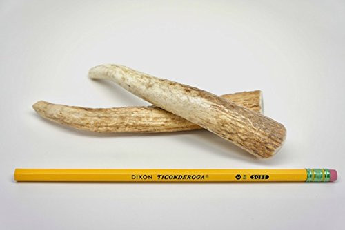 TWO (2) piece SMALL ELK Antler Chew Bone for Dogs under 20 pounds, 4' - 6' long, elk antler dog chews, elk antler dog bones natural raw diet toy treat horn
