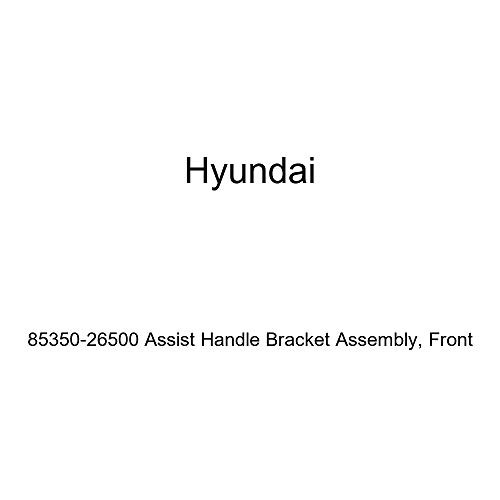 HYUNDAI Genuine 85350-26500 Assist Handle Bracket Assembly, Front