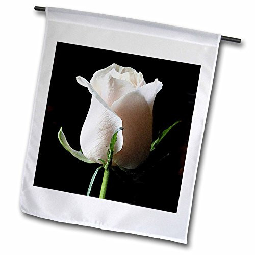 3dRose fl_4202_1 White Rose, Garden Flag, 12 by 18-Inch