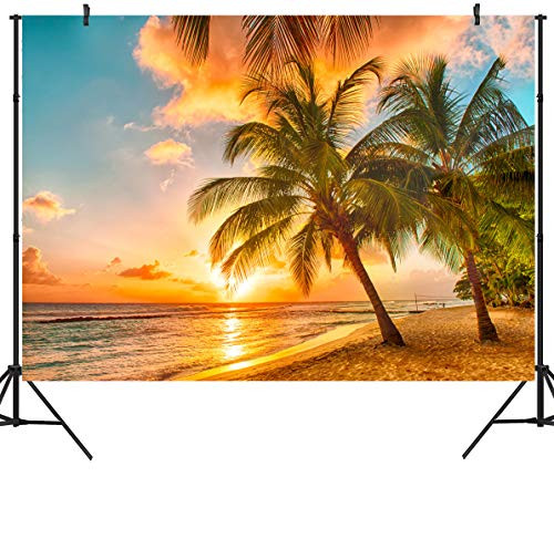 DULUDA 9X6FT Palm Beach Sunset Seamless Vinyl Customized Photography Backdrop Photo Background Studio Prop FS07B