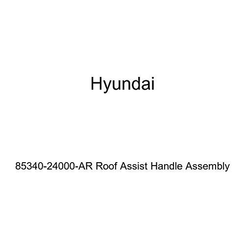 Genuine Hyundai 85340-24000-AR Roof Assist Handle Assembly